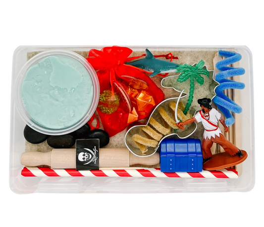 Pirate Mini Bin